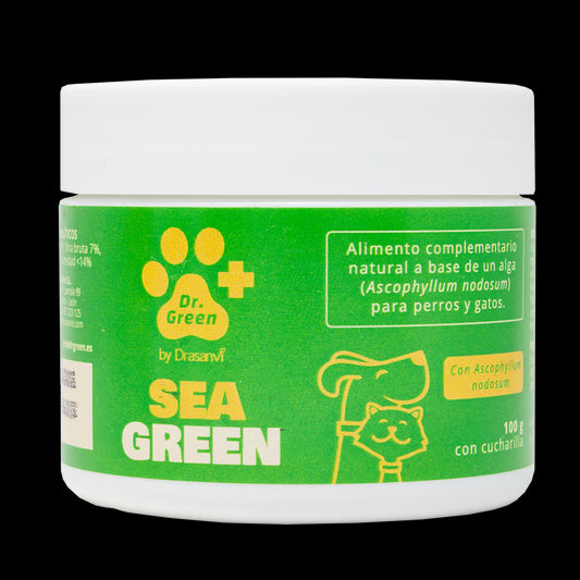 Drasanvi Drgreen Seagreen , 100 gr