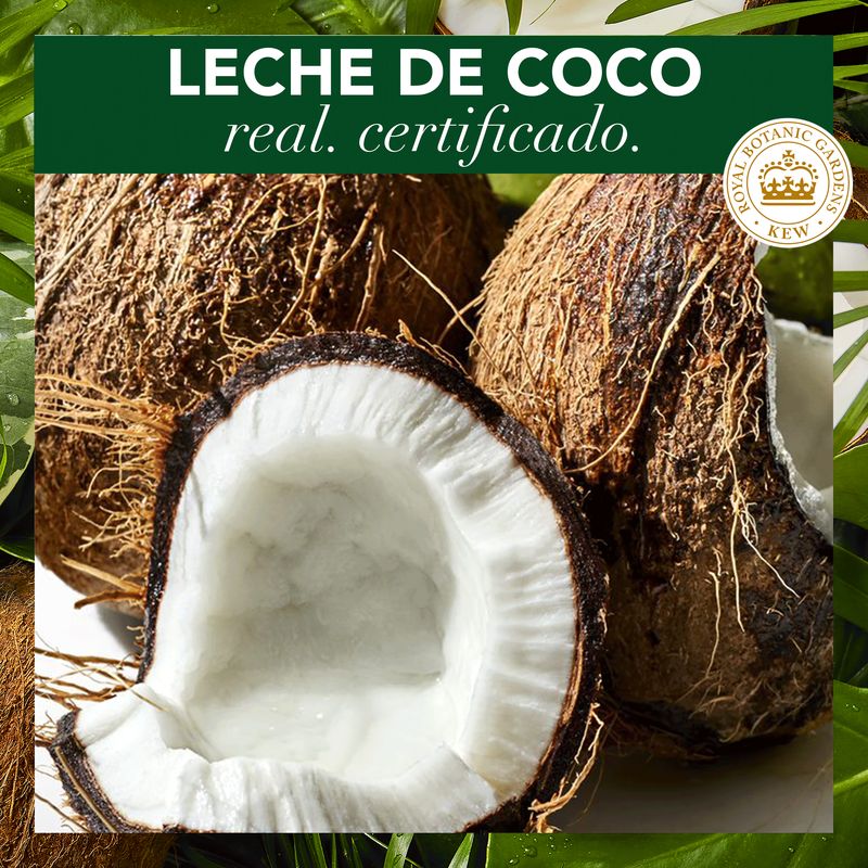 Herbal Essences Champú Con Leche De Coco 680Ml