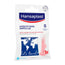 Hansaplast Pies  Apósitos Pequeños Para Ampollas Con Hidrocoloide  , 6 unidades