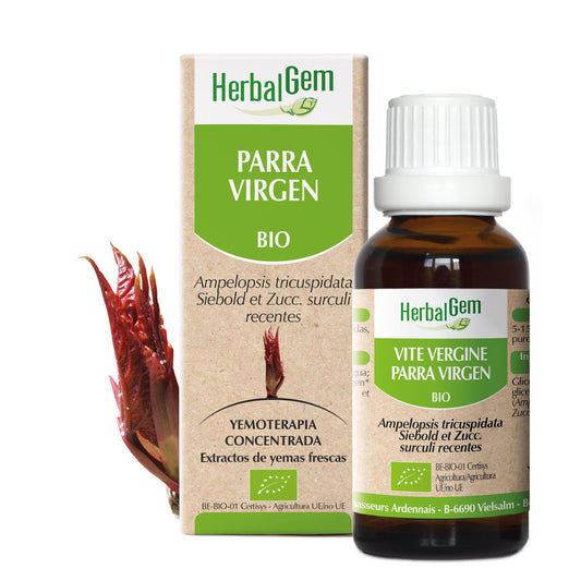 Herbalgem Parra Virgen 15 ml
