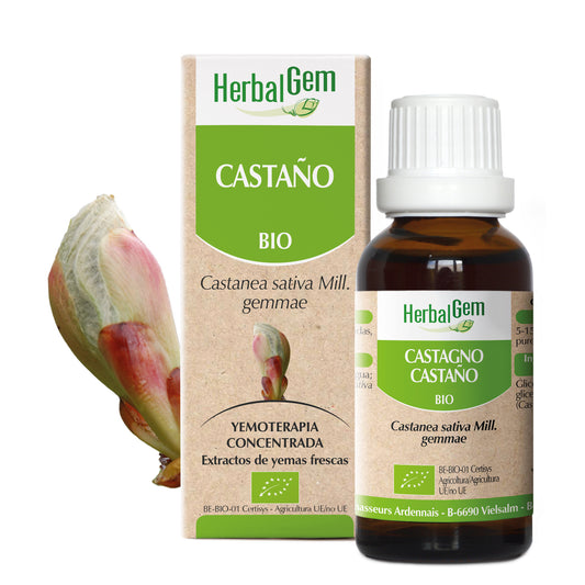 Herbalgem Castaño 15 ml