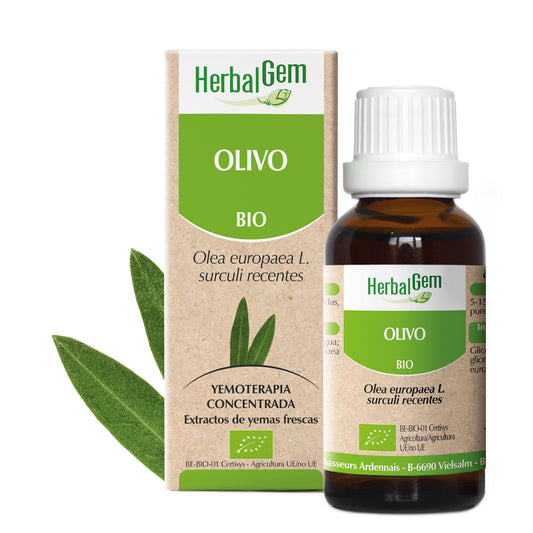 Herbalgem Olivo 15 ml