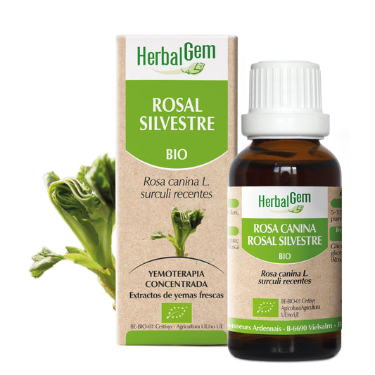 Herbalgem Rosal Silvestre 15 ml