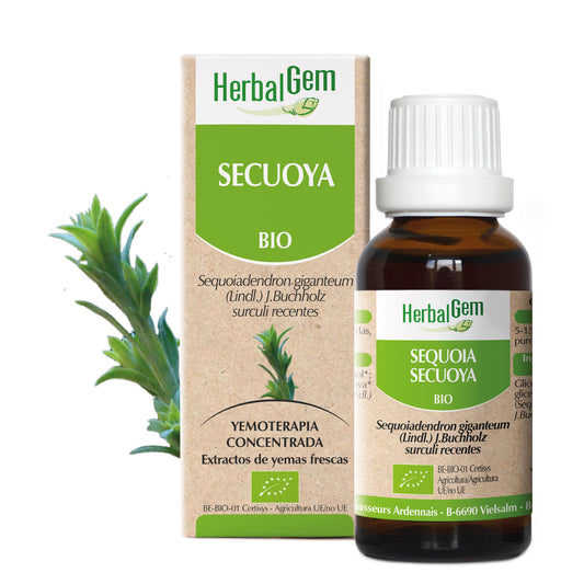 Herbalgem Sequoia 15 ml