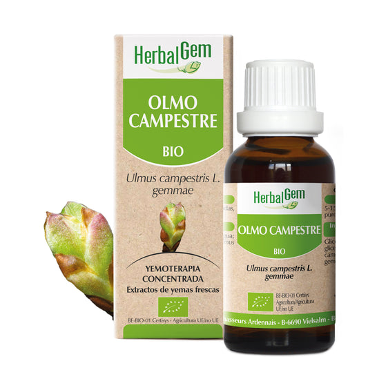 Herbalgem Olmo Campestre 50 ml