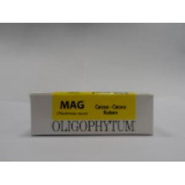 Holistica Oligophytum Magnesio 100Gra 