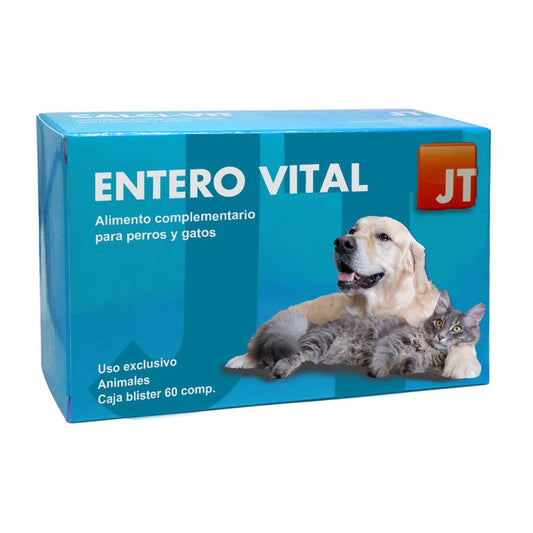 JTPharma Enterovital, 60 comprimidos