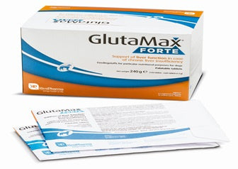 Glutamax Forte, 120 comprimidos