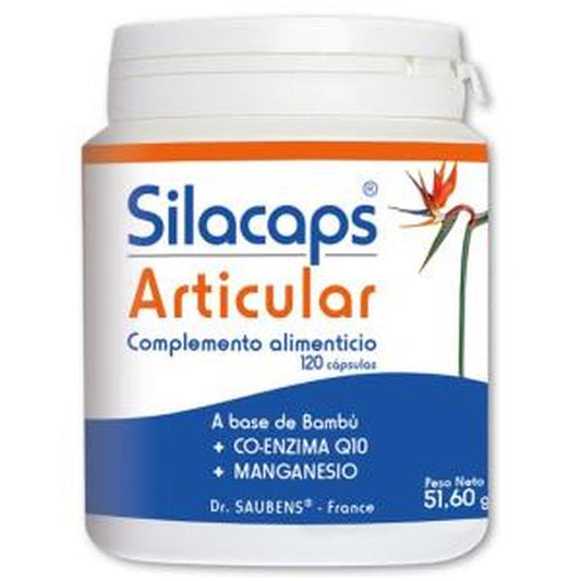 Labo Sante Silice Silacaps +1 Articular 120Caps.