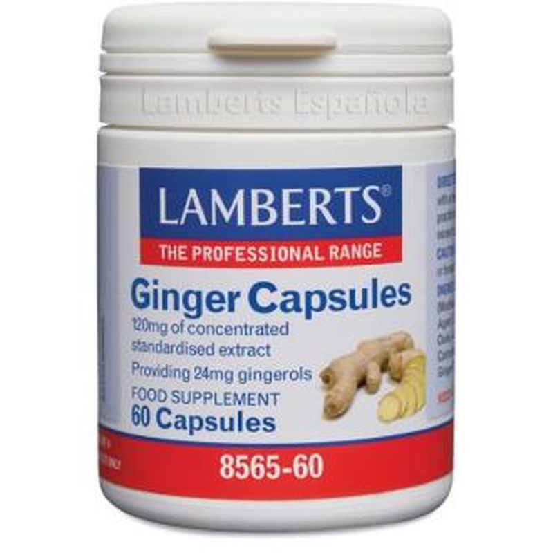 Lamberts Ginger Jengibre 60 Cápsulas 