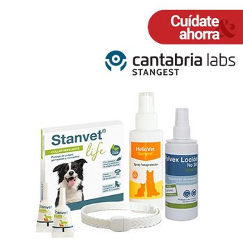 REBAJAS - STANGEST HASTA 20% DTO VARIAS MARCAS (31 JULIO 2026)