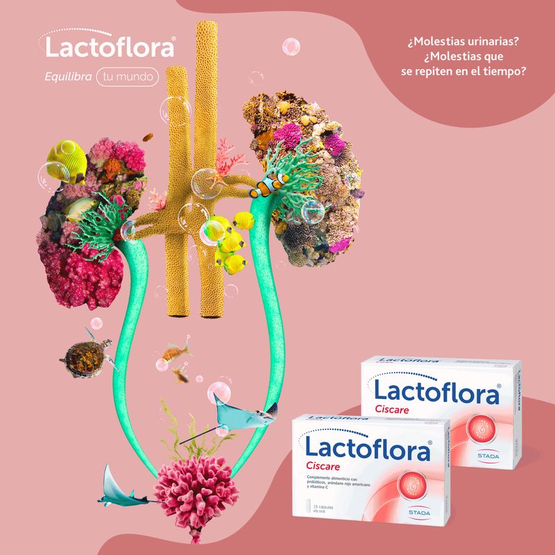 Lactoflora Ciscare 15 cápsulas