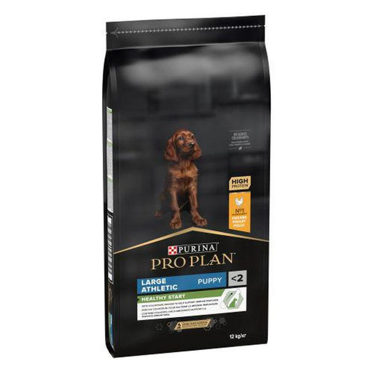 Purina Pro Plan Canine Puppy Athletic Balance Large 12Kg, pienso para perros