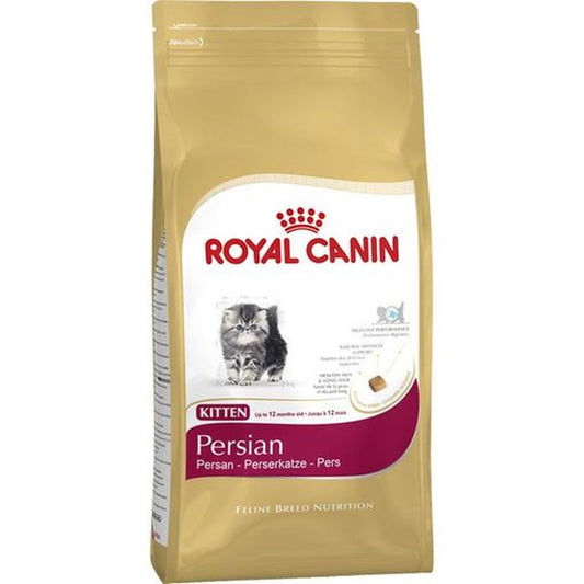 Royal Canin Kitten Persa 10Kg, pienso para gatos