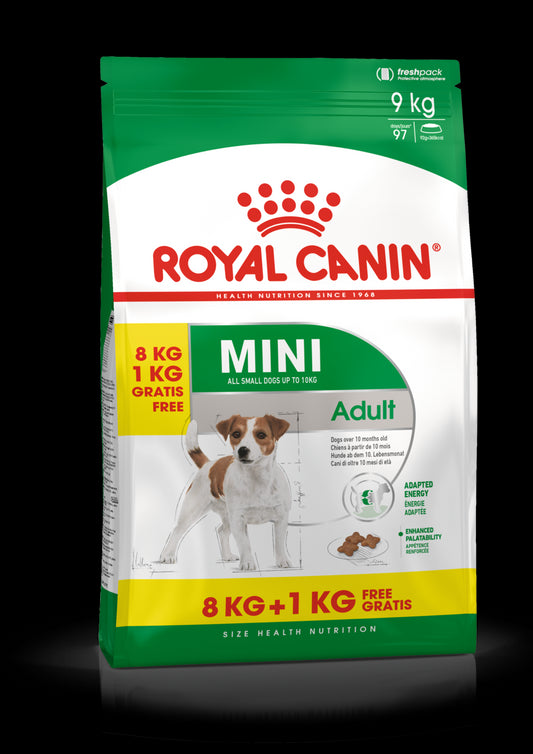 Royal Canin Adult Protein Exigent 2Kg, pienso para gatos