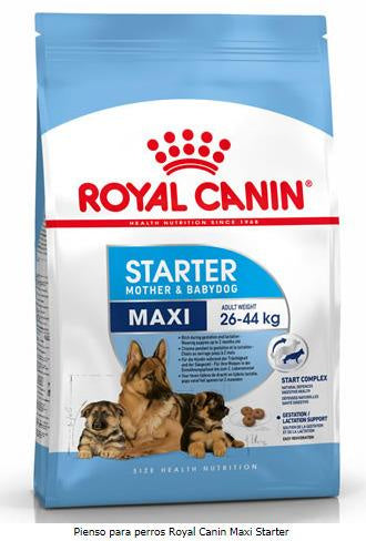 Royal Canin Starter Maxi 4Kg, pienso para perros