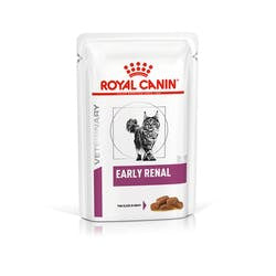 Royal Canin Veterinary Renal Special 400Gr, pienso para gatos