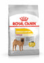 Royal Canin Adult Dermacomfort Medium 12Kg, pienso para perros