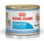 Royal Canin Starter Mother Babydog Caja 12X195Gr, comida húmeda para perros