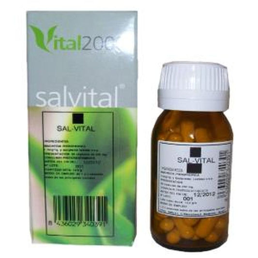 Vital 2000 Salvital Nº2 Cs Calcarea Sulphurica 50 Cápsulas