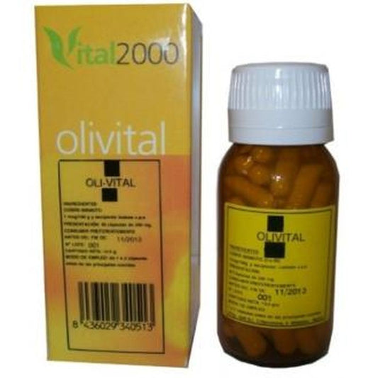 Vital 2000 Olivital Nº11 Y Iodo 40 Cápsulas
