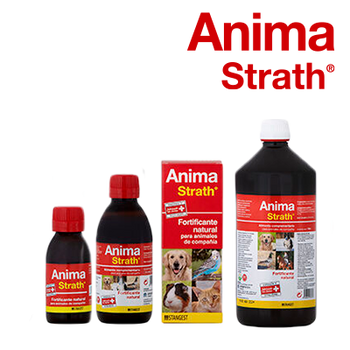 STANGEST ANIMA STRATH 25% DTO. (31 DICIEMBRE 2025)