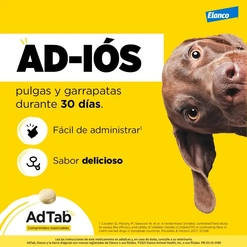 Adtab 450Mg Comprimidos Masticables Perros 11-22Kg, 2 Comprimidos
