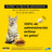 Adtab 48Mg Comprimidos Masticables Gatos 2-8Kg, 2 Comprimidos