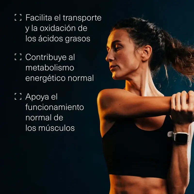 Aldous Bio L Carnitina 2000Mg Suplemento Pre Entreno Y Recuperador Muscular , 200 comprimidos