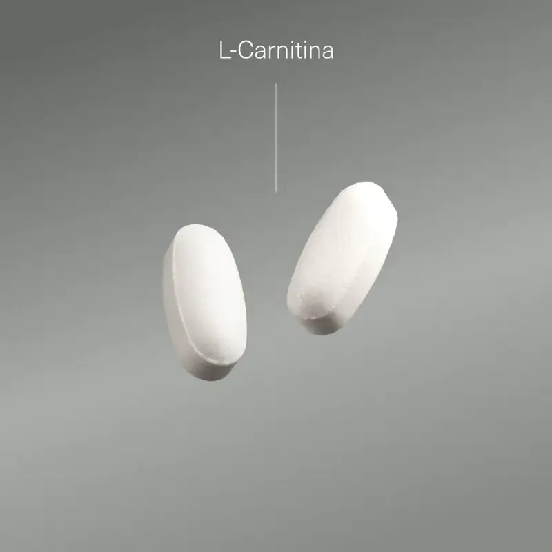 Aldous Bio L Carnitina 2000Mg Suplemento Pre Entreno Y Recuperador Muscular , 200 comprimidos