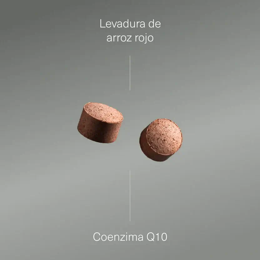 Aldous Bio Levadura De Arroz Rojo Con Coenzima Q10 Aldous , 400 comprimidos