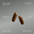Aldous Bio Maca Negra Peruana Complex Arginina, Zinc, Vitamina C, B12 Y B6 , 200 capsulas
