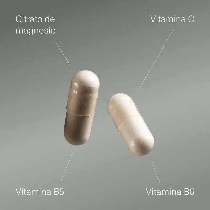 Aldous Labs Complemento Alimenticio Magnesio Con Vitamina C, B5 Y B6 , 200 capsulas