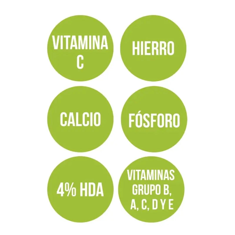 Ana Maria Lajusticia Jalea Real Con Vitamina C 60Cap.