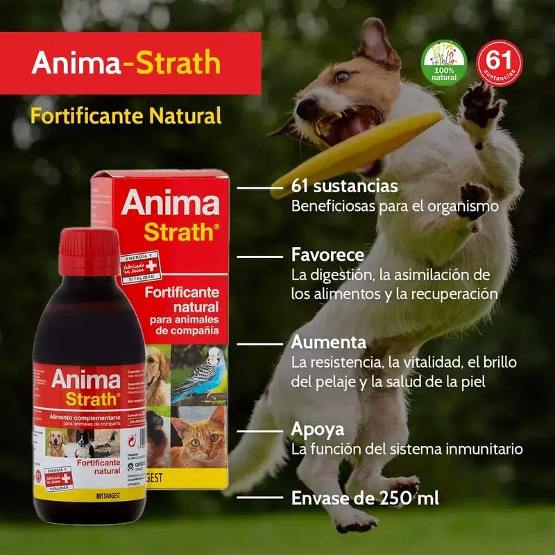 Stangest Anima Strath 250 Ml