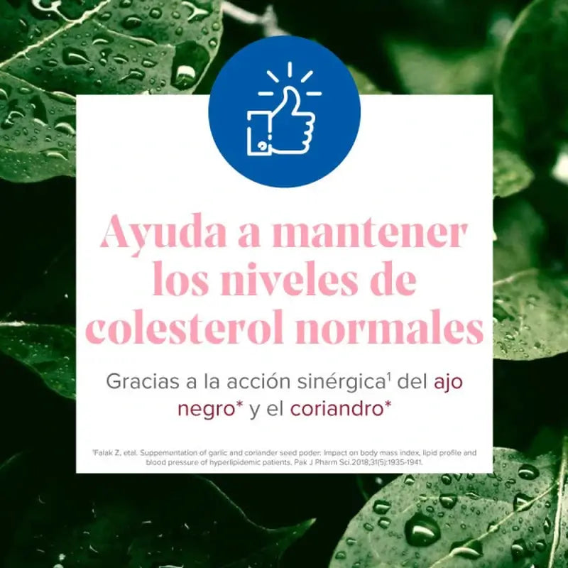 Arkosterol Plus Pack 60 Cápsulas Arkopharma