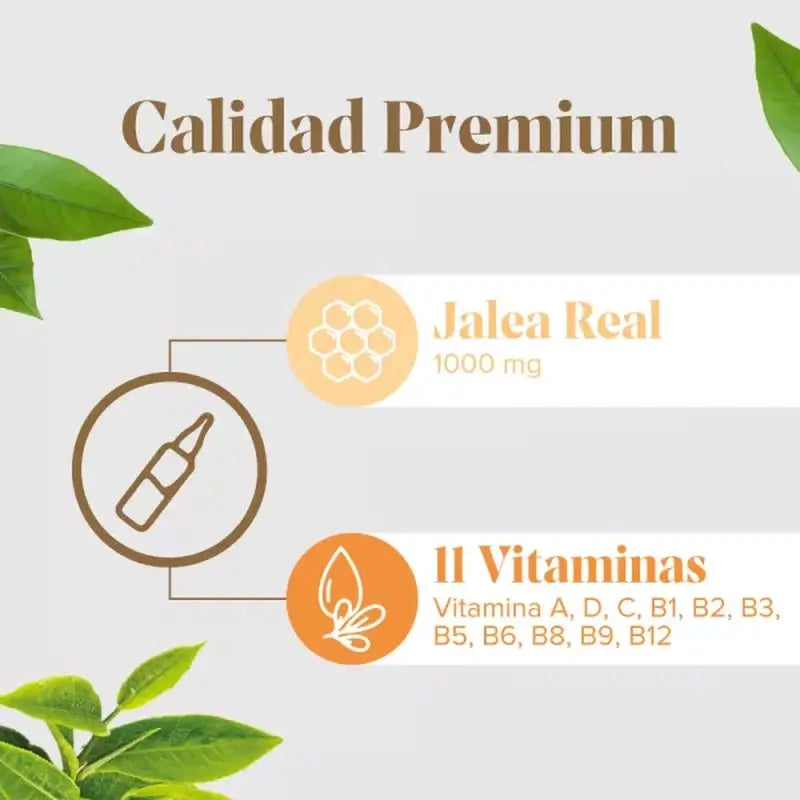 Arkopharma Arkoreal Vitadefensas Jalea Real Sin Azúcar, 20 ampollas