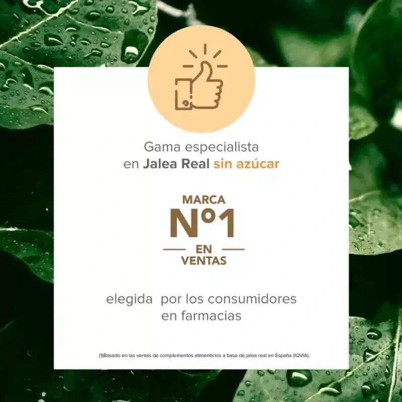 Arkopharma Arkoreal Vitadefensas Jalea Real Sin Azúcar, 20 ampollas