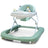 Asalvo Andador 3 En 1 Pinchi Verde