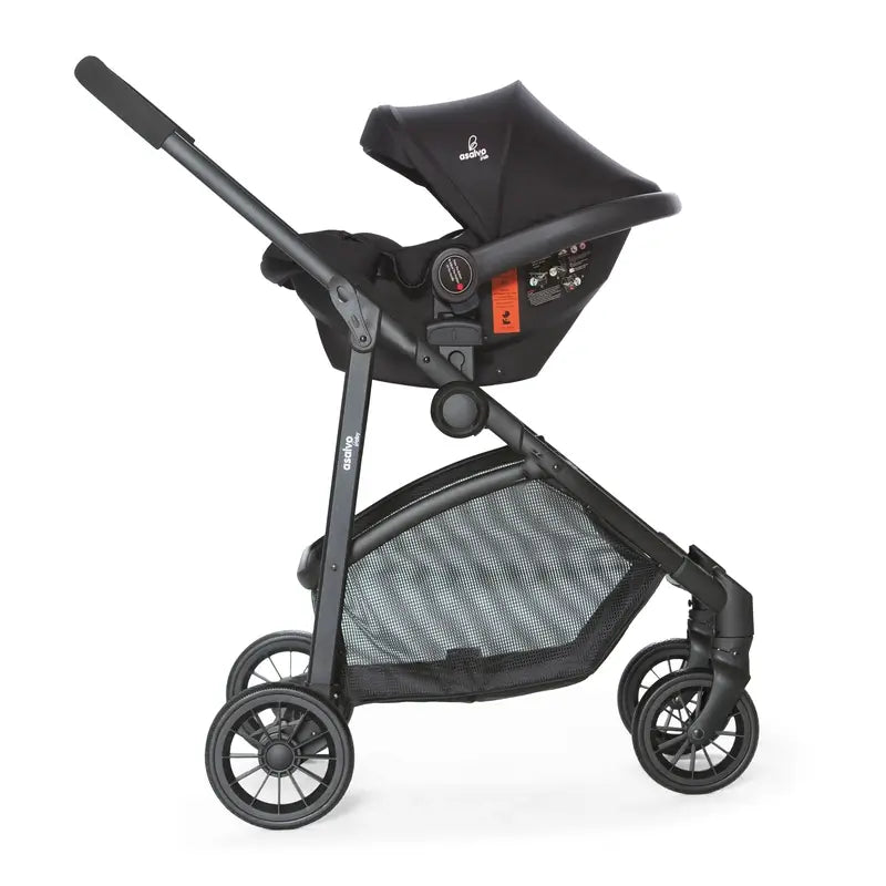 Asalvo Convertible Biarritz Negro