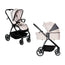 Asalvo Duo Rodas Beige , 1 unidad