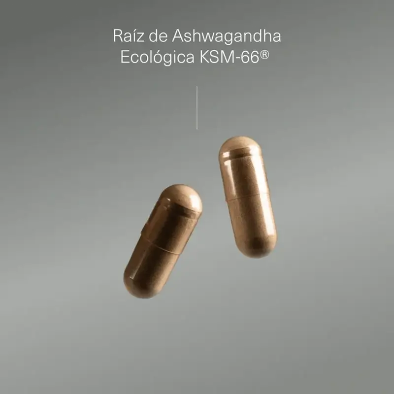 Aldous Ashwagandha Ksm-66 Ecológica, 600 mg