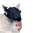 Buster Bozal Nylon para Gato