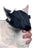 Buster Bozal Nylon para Gato