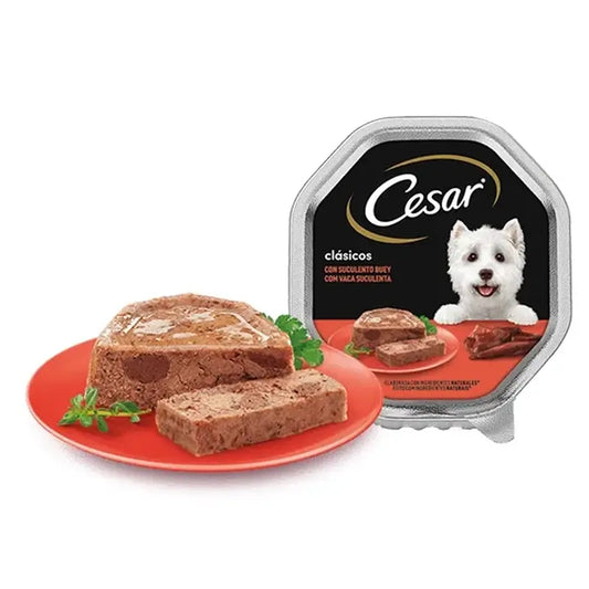 Cesar Bulkpack Buey 20+8X150G