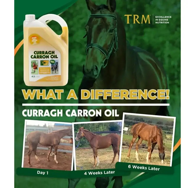 Curragh Carron Oil 4,5 Litros. Omega 3-6