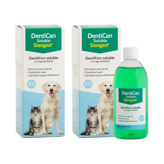 Dentican Stangest Soluble, 2X500 Ml