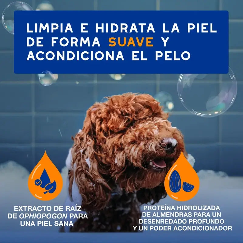Douxo Skin & Coat Spa 2 En 1 Champú Y Acondicionador Para Perros, 250 ml
