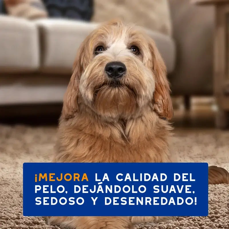 Douxo Skin & Coat Spa 2 En 1 Champú Y Acondicionador Para Perros, 250 ml