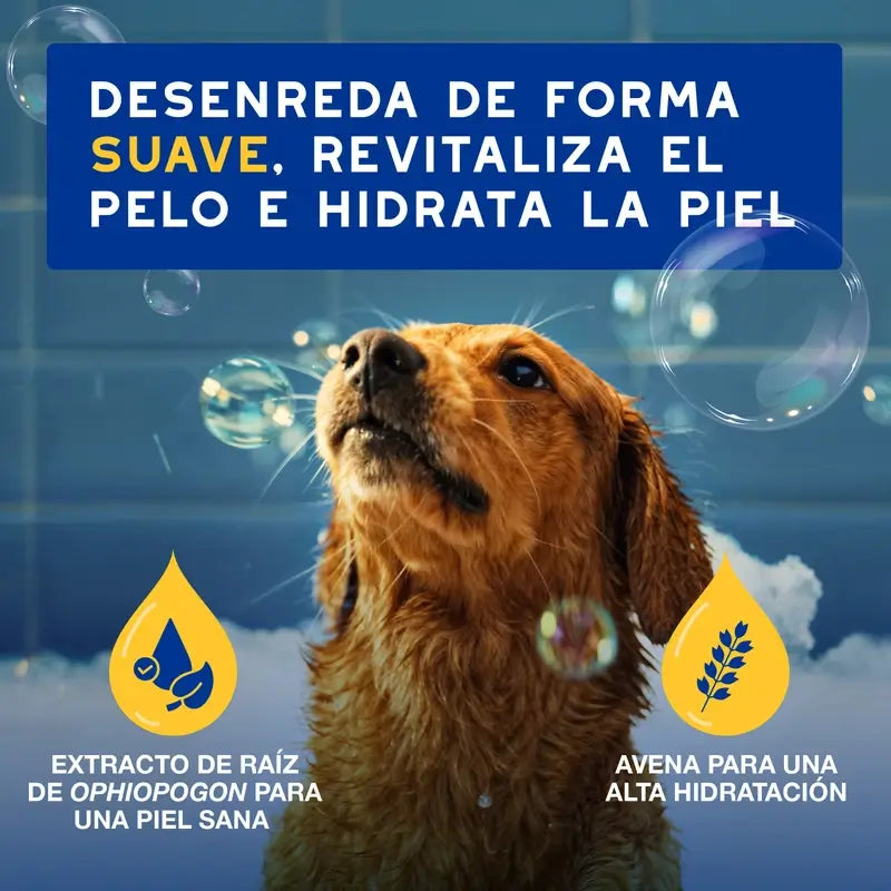 Douxo Skin & Coat Spa Acondicionador De Avena Para Perros, 250 ml